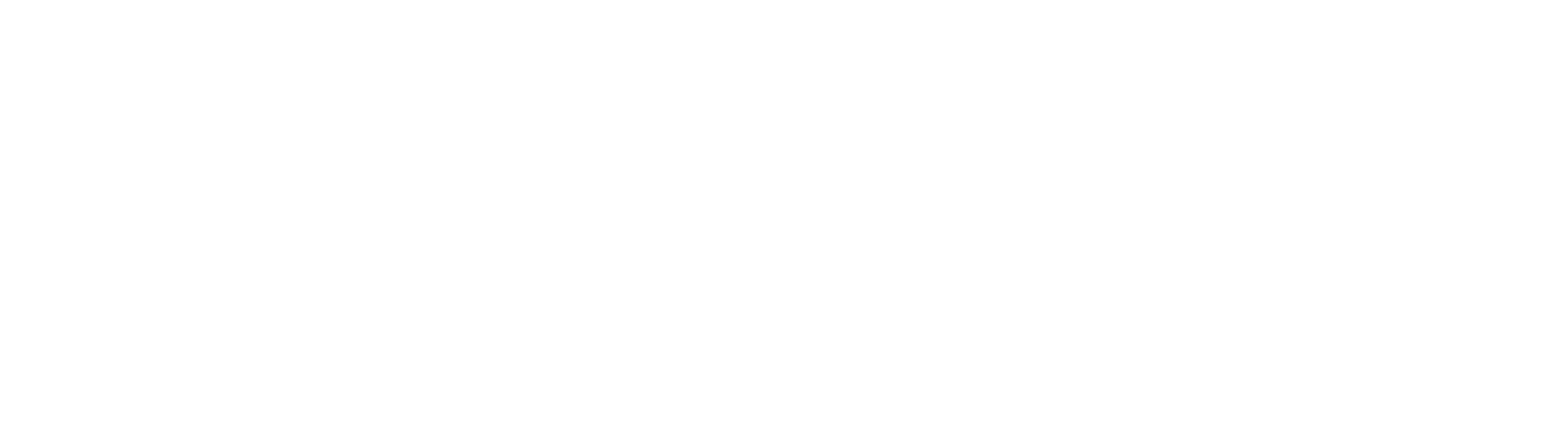 Distribuidora La Internacional - Logo INBIOTEC