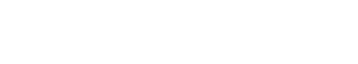 Distribuidora La Internacional - Logo Novactive