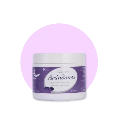 Máscara de Arándanos
